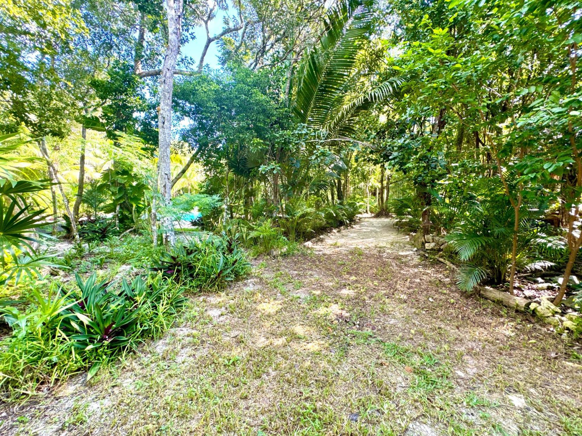Glamping Bunga Lotus Hotel Tulum Exterior photo